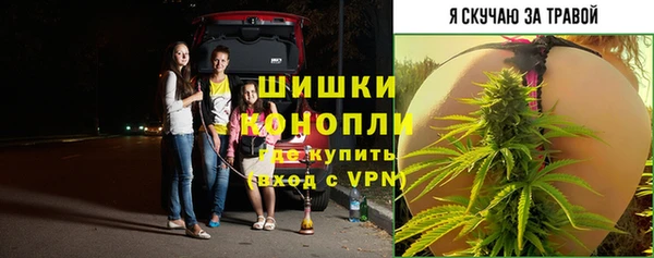 jwh Снежногорск
